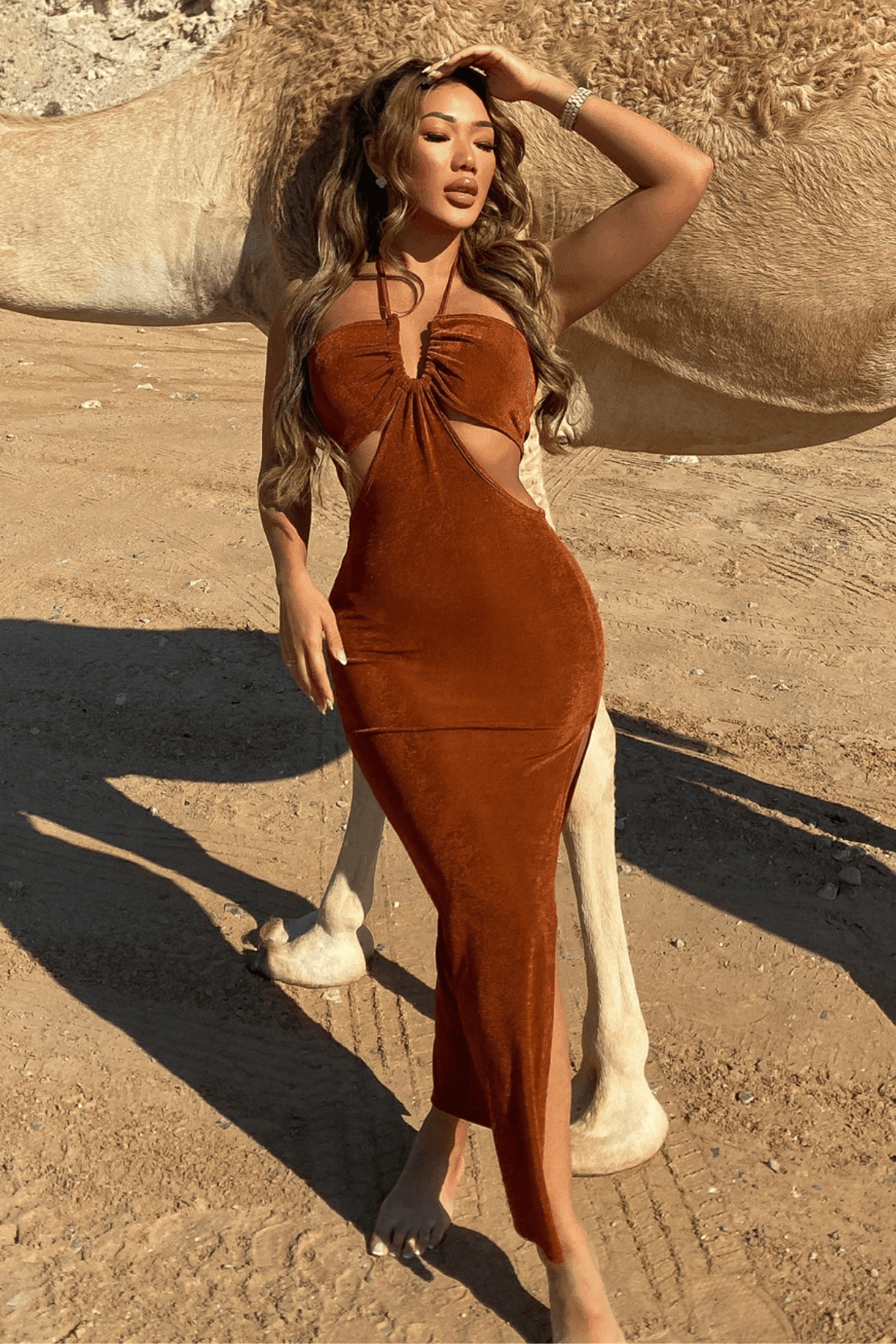 Frankie Dress - Hi Maintenance